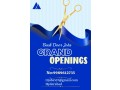 backdoor-openings-9989612735-small-0