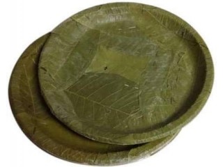 Sal leaf Plates ( Standard Size) -Set of 50  Pieces