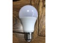 ac-dc-led-bulb-small-0