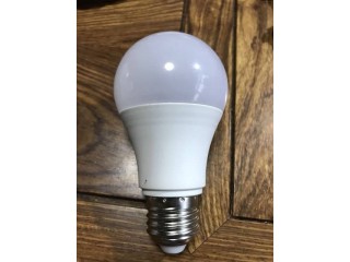AC DC LED bulb