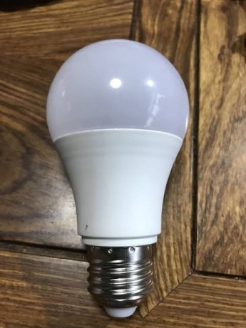 ac-dc-led-bulb-big-0