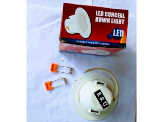 Conceal Down Light