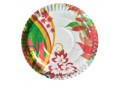 printed-paper-plate-small-0